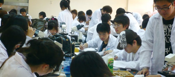 College of Health Science and Technology